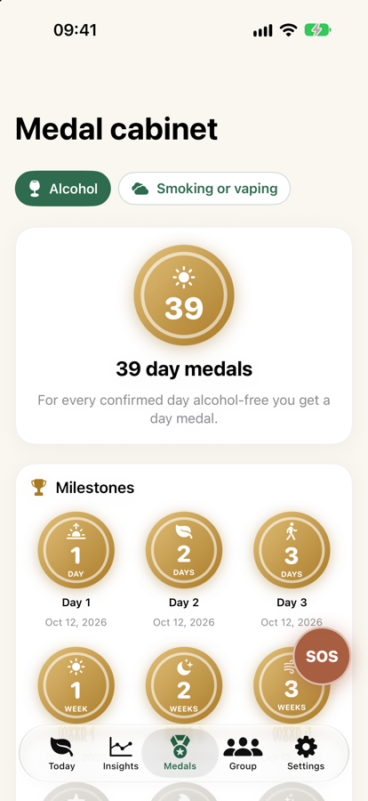 The medal cabinet with medals for Day 1, Day 2, Day 3 and Weeks 1 to 3